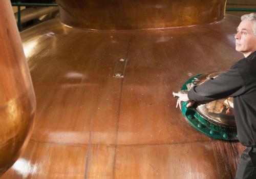 Learn how humidity control improved the malting process | Airtec Learn how humidity control improved the malting process | Airtec