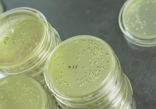 Legionella Risk Assessment Legionella Risk Assessment