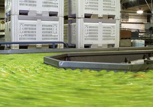 Desiccation: How to avoid loss of product weight and quality Desiccation: How to avoid loss of product weight and quality